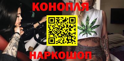 сатива Лесосибирск